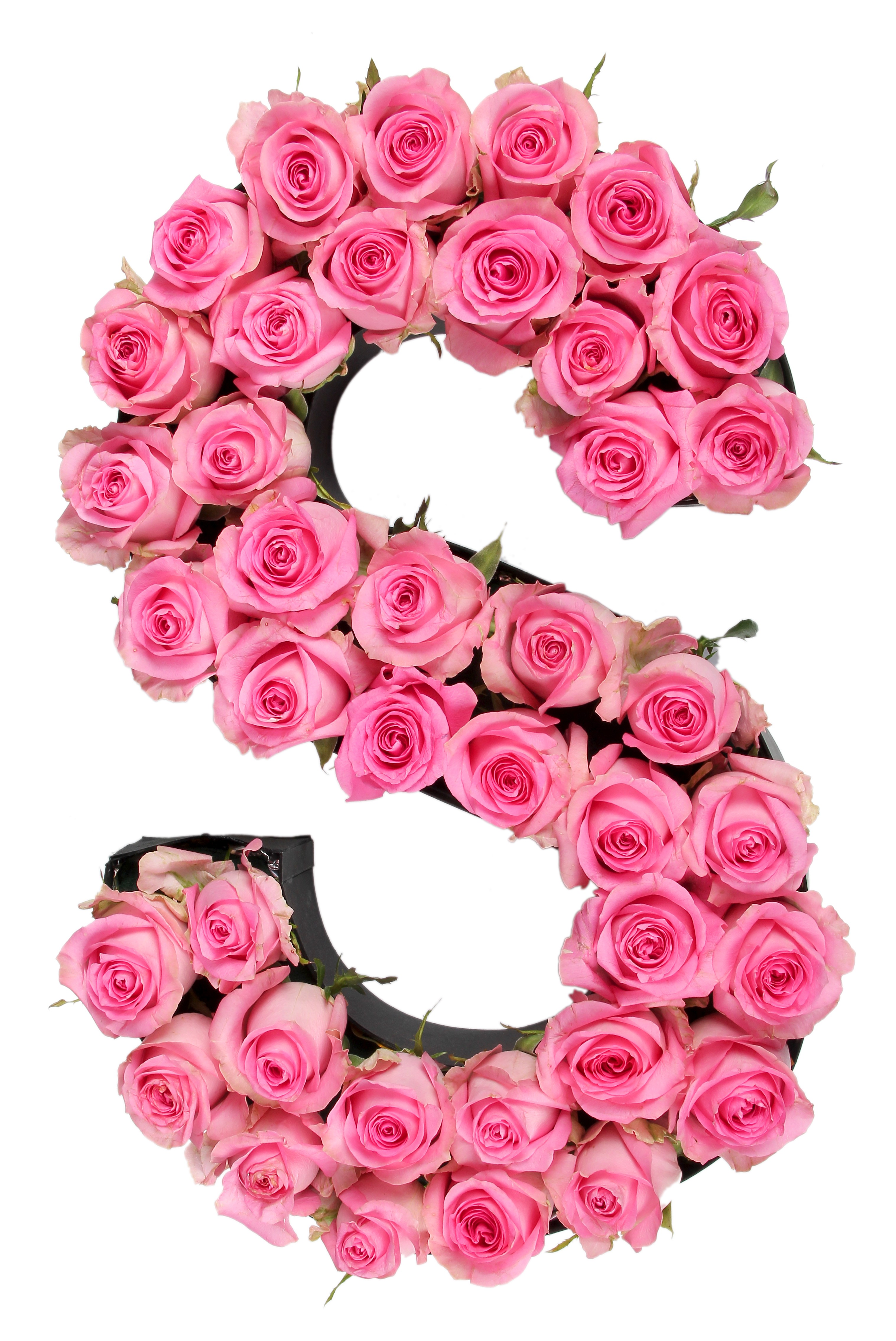 O gul. Буквы из роз. Красивые цветочные буквы. Буквы с розами. Цветы на букву а.