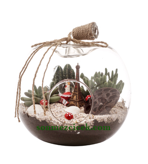 Terrarium Siparii Bayrampaa